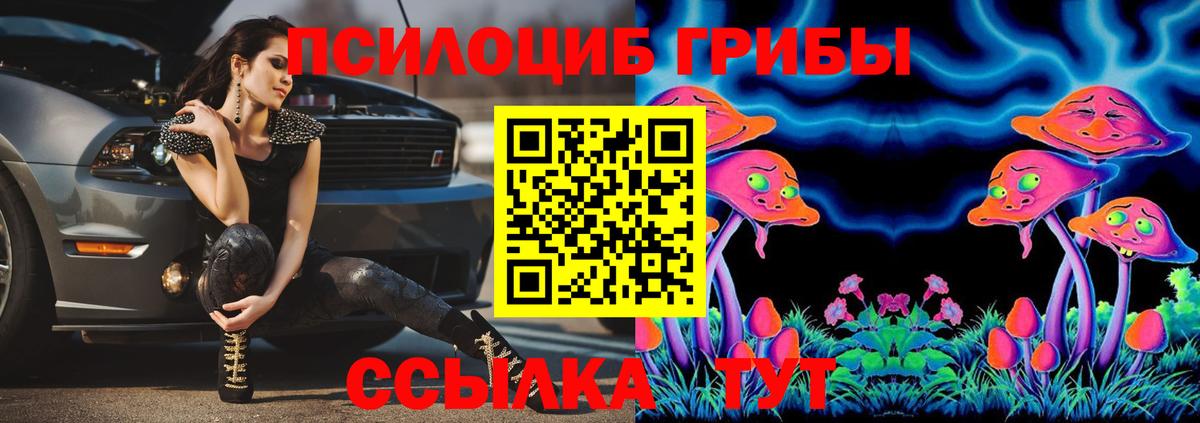 Псилоцибиновые грибы ЛСД Нововоронеж