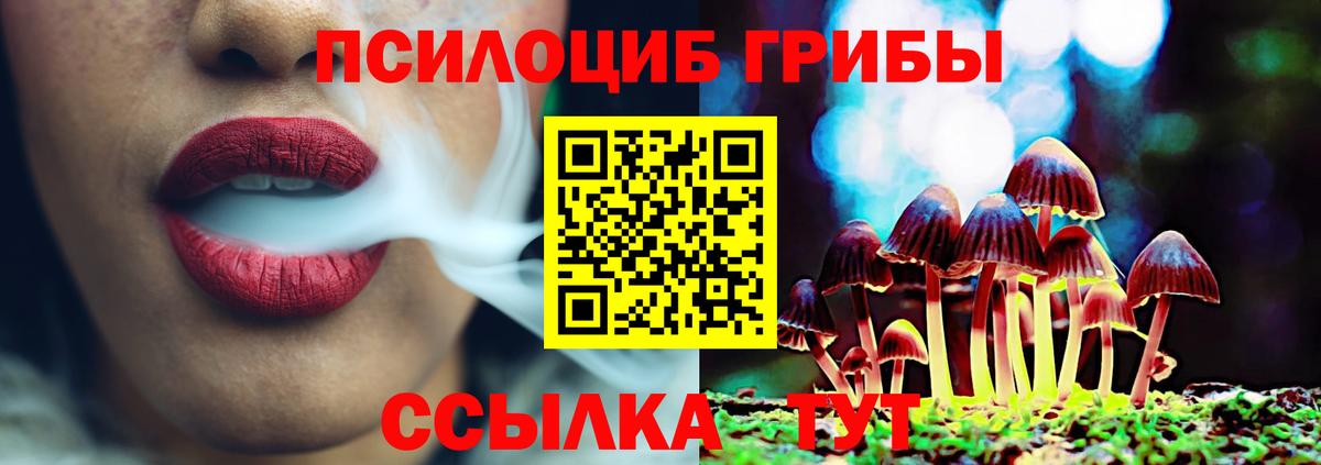МДМА  NBOMe  Нововоронеж  Вход с VPN  Гашиш  Кокаин  МАРИХУАНА  МЕФ  