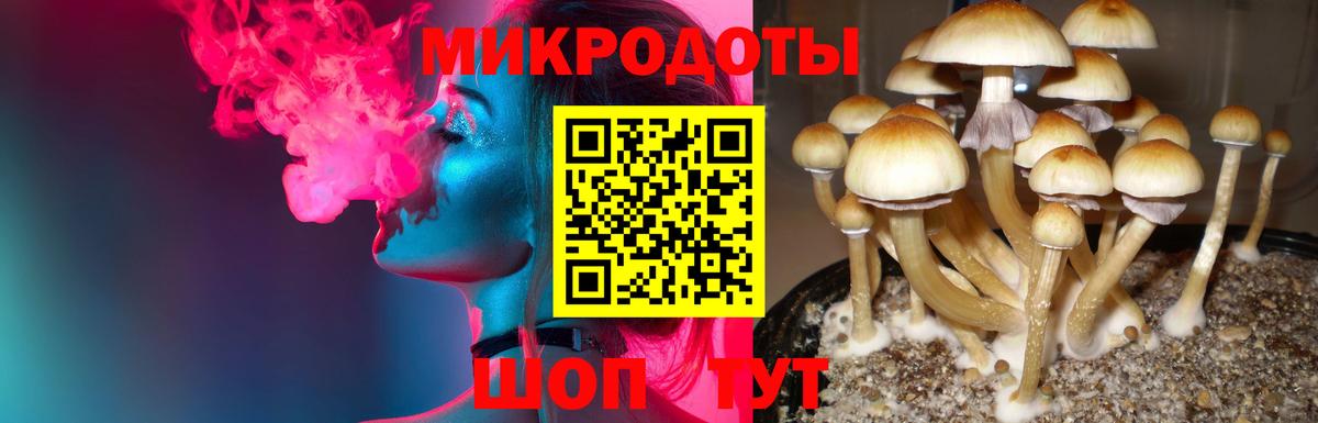 Псилоцибиновые грибы прущие грибы  Вход с VPN  Нововоронеж 