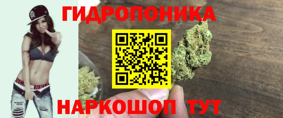 Шишки марихуана OG Kush Нововоронеж